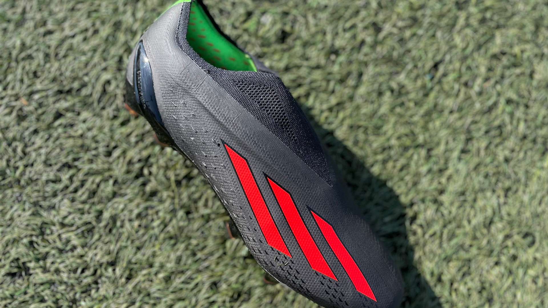 导的组织的 导的组织的